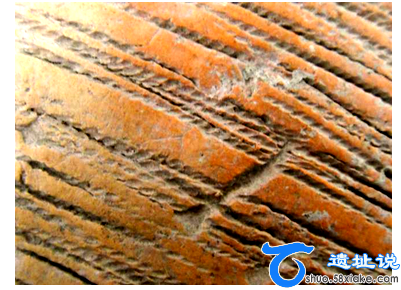 河南渑池丁村仰韶文化遗址发现平纹布印痕 第12张