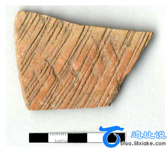 河南渑池丁村仰韶文化遗址发现平纹布印痕 第11张